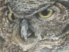 owl II