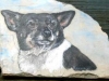 Lucy's portrait