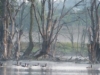 Marsh