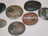 Picture 243-003