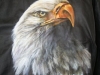 eagleCoat.jpg