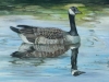 goose1