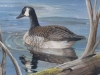 goose2