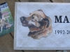 max (2)
