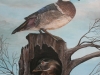 treeHollow