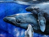 whales