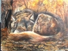 wolf 1