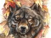 wolfInLeaves